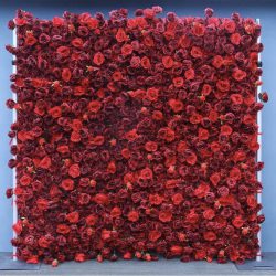 Red Rose Wall