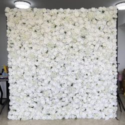 White Rose Wall
